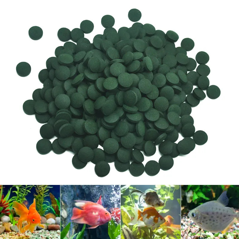 100-3000pc High Purity Spiruli - Marine Aquarium Bacteria review and price