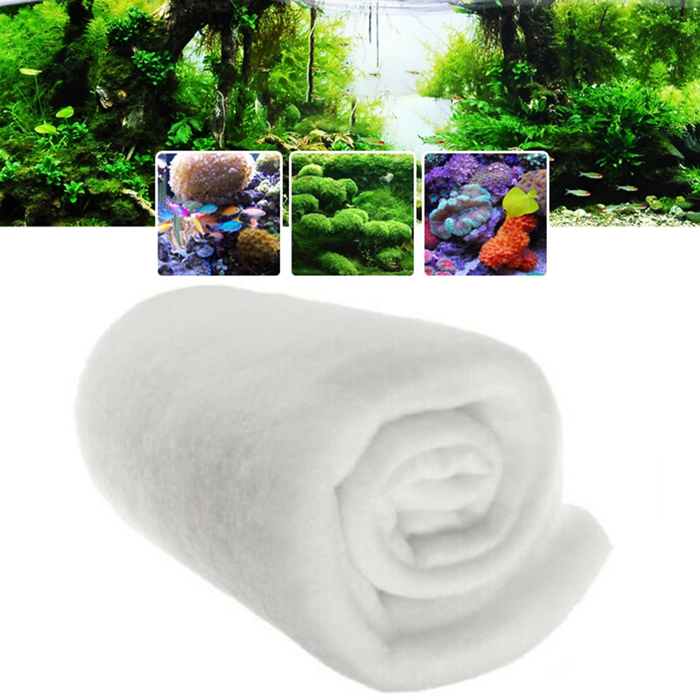 1PC Fish Tank 120cm X30cmx0.5c - Marine Aquarium Bacteria review and price