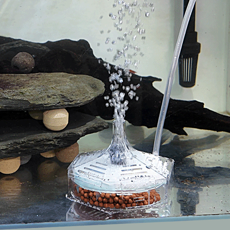 Super Thin Aquarium Fish Tank  - Marine Aquarium Bacteria review and price