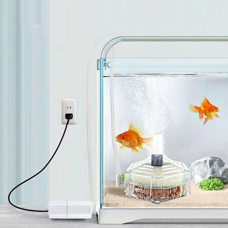 Super Thin Aquarium Fish Tank  - Marine Aquarium Bacteria review and price