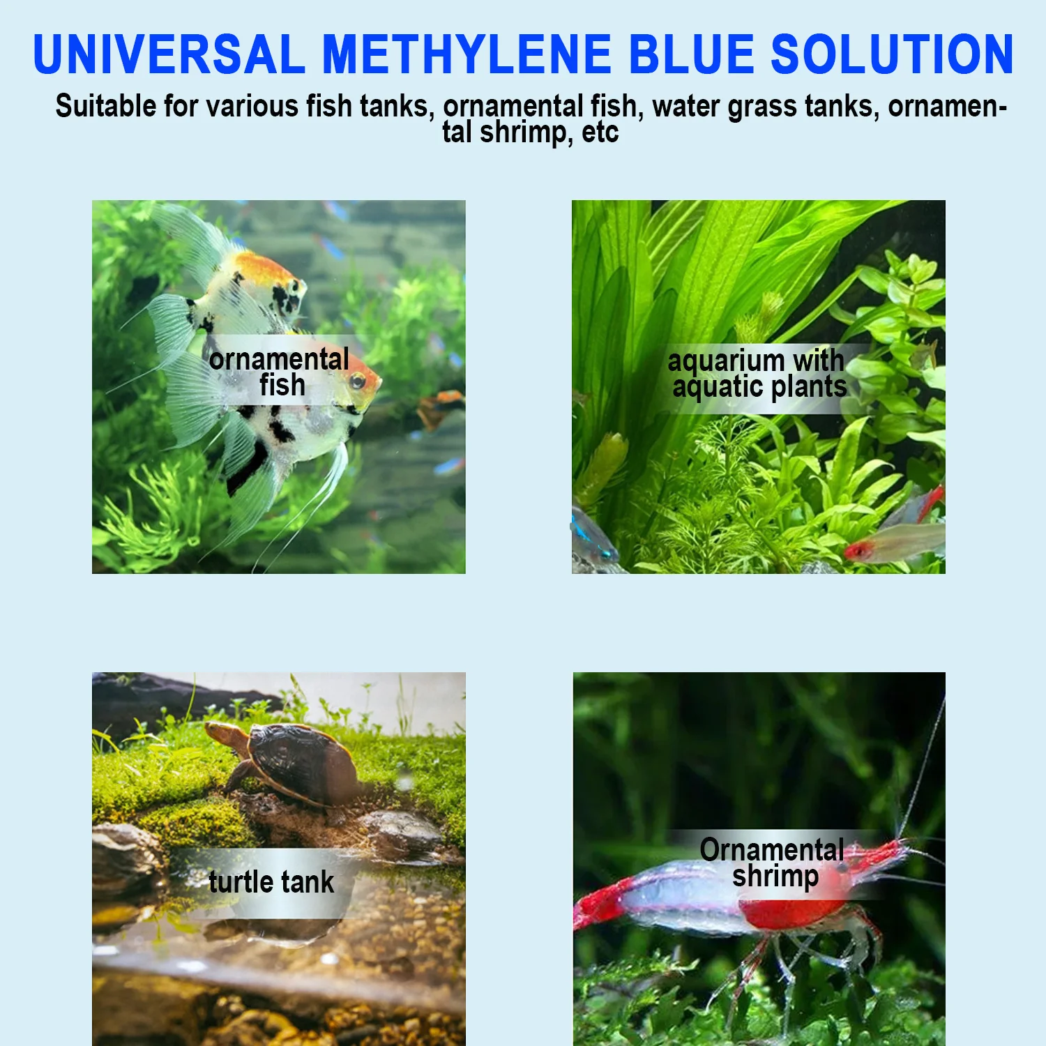 Methylene Blue Aquarium Fish T - Marine Aquarium Bacteria review and price