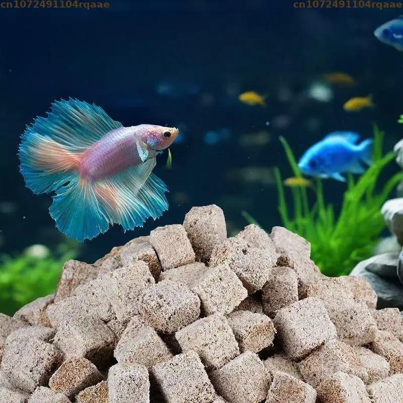 Natural Freeze Dried Bloodworm - Marine Aquarium Cube review and price
