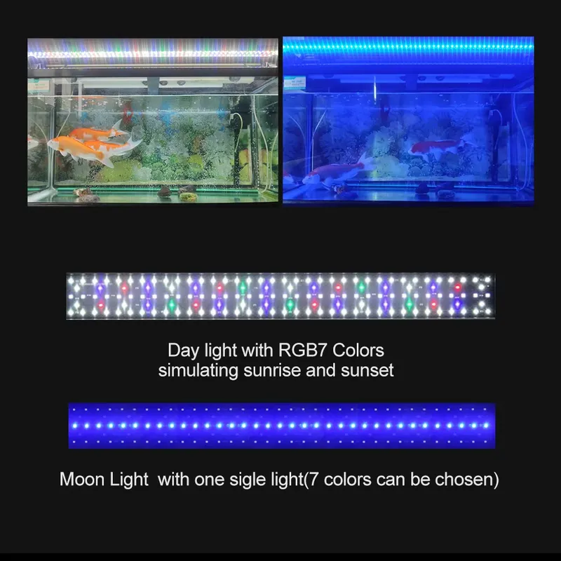 SIROKA High Quality IP68 Water - Marine Aquarium Hours review and price