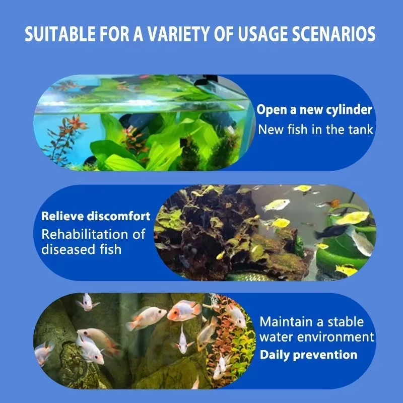 SIKEZHAN Fish Disease Treatmen - Marine Aquarium Bacteria review and price