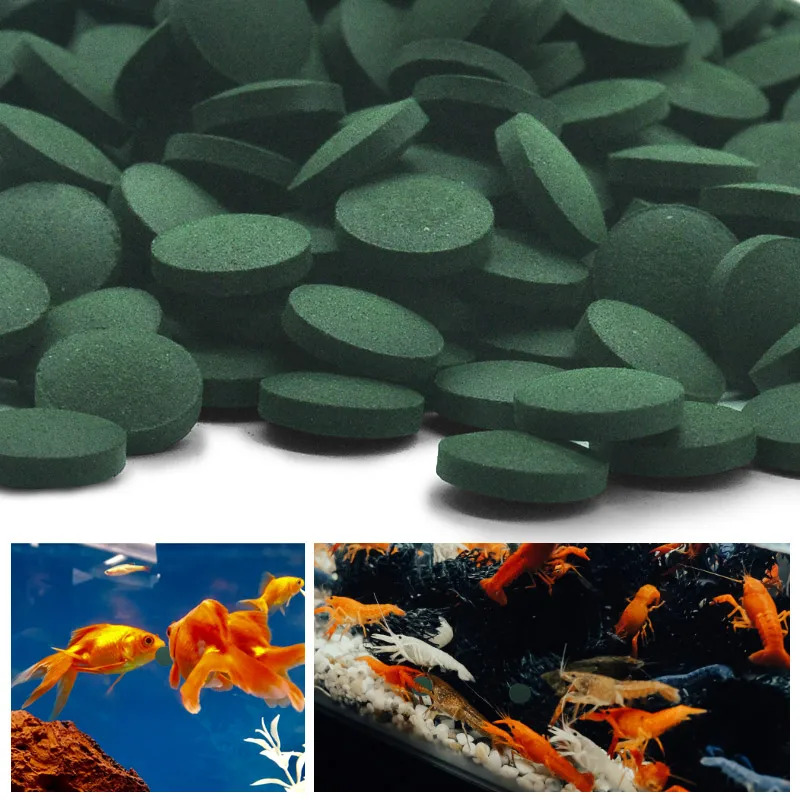 50-300Pcs High Purity Spirulin - Marine Aquarium Bacteria review and price