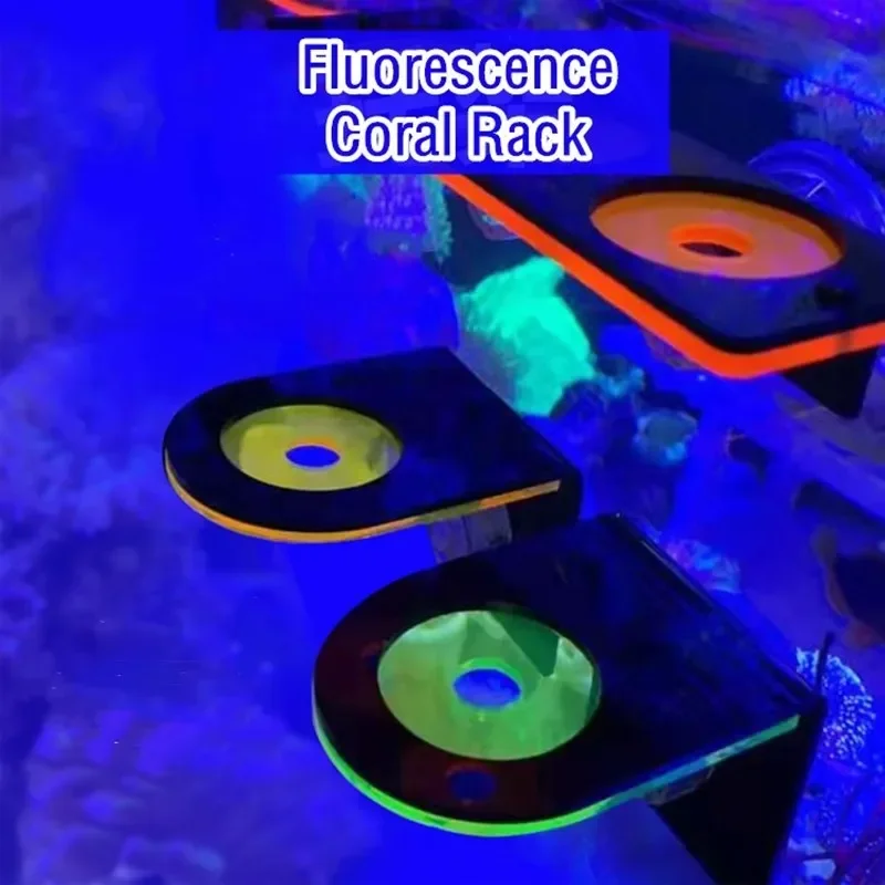 Fish Tank Acrylic Fluorescent  - Marine Aquarium Reef review and price