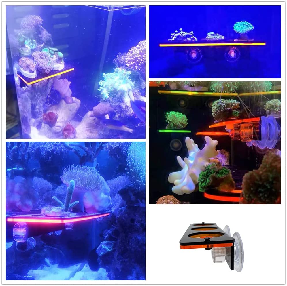 Fluorescent Coral Frag Plug Br - Marine Aquarium Orp review and price